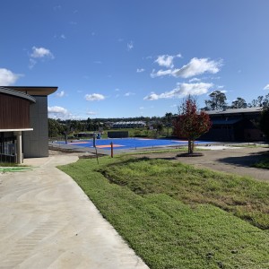 IMG 0938