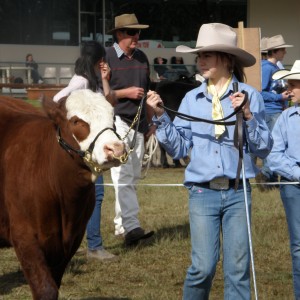 Mikaela Ginny Gosford Steer Show